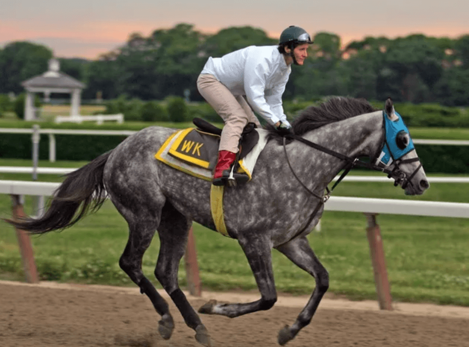 The Most Memorable Moments in Horse Racing History