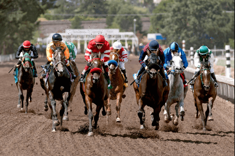 The Most Prestigious Horse Races in the United States
