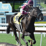 The Most Scenic Horse Racing Tracks in the World