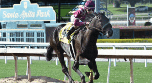 The Most Scenic Horse Racing Tracks in the World