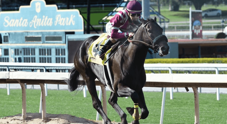 The Most Scenic Horse Racing Tracks in the World