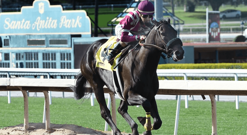 The Most Scenic Horse Racing Tracks in the World