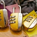 apex horizon connectivity vault identifiers